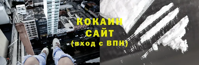 Cocaine Эквадор  купить наркоту  Инсар 